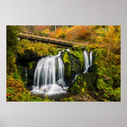 Waterval | Triberg Waterfall, Duitsland Poster (Voorkant)
