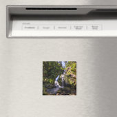 Waterval | Triberger Wasserfälle, Duitsland Magneet (Insitu (Vaatwasser))