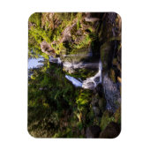 Waterval | Triberger Wasserfälle, Duitsland Magneet (Verticaal)