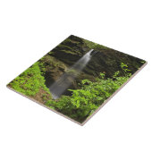 Waterval valt in de gootsteen, Whiteoak Sink, Tegeltje (Zijkant)