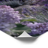 Waterval van Amethyst in februari Perfect Poster (Hoek)
