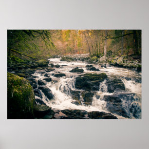 Waterval van de rivier Bran Dunkeld Hermitage Poster