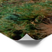 Waterval van Ein Gedi in de woestijn van Judean, I Poster (Hoek)