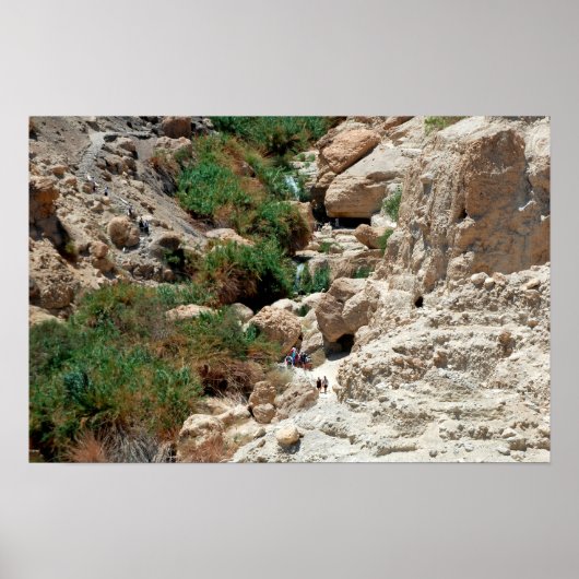 Waterval van Ein Gedi in de woestijn van Judean, I Poster (Voorkant)