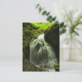 Waterval van Herfsten van het Roaring van de Toby Briefkaart (Staand voorkant)