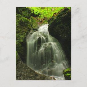 Waterval van Herfsten van het Roaring van de Toby Briefkaart
