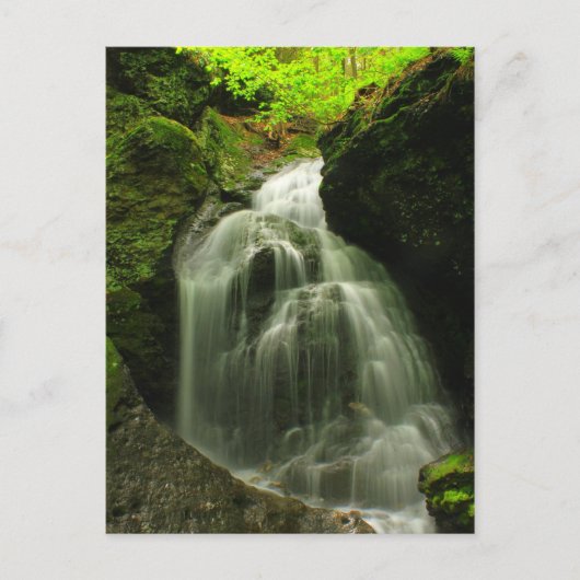 Waterval van Herfsten van het Roaring van de Toby Briefkaart (Voorkant)