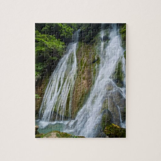 Waterval van Mele-Maat in Oerwoud Legpuzzel (Verticaal)