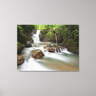 Waterval van Ojochal in Costa Rica Canvas Afdruk