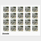 Waterval Vierkante Sticker (Vel)