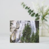 Watervalbomen Briefkaart (Staand voorkant)