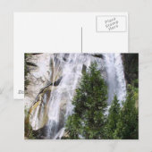Watervalbomen Briefkaart (Voorkant / Achterkant)
