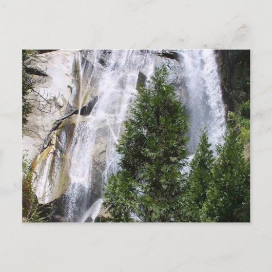 Watervalbomen Briefkaart (Voorkant)