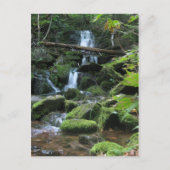 Watervalcascade in de natuur van het landschap in  briefkaart (Voorkant)