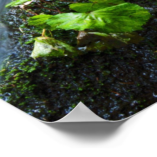 Watervalgroene steen poster (Hoek)
