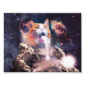 Watervalkat Foto Afdruk (Voorkant)