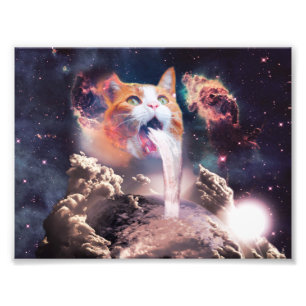 Watervalkat Foto Afdruk