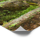 Watervalkeuinen Poster (Hoek)