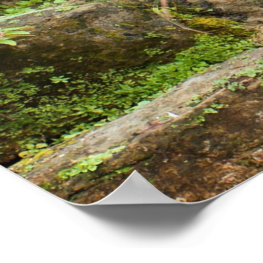 Watervalkeuinen Poster (Hoek)