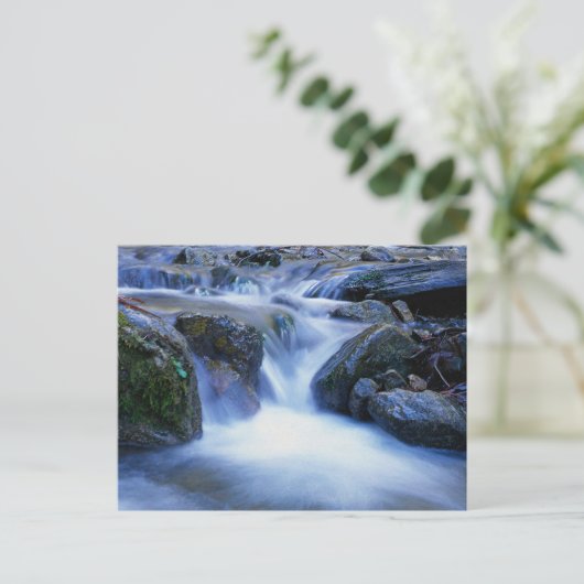 Watervallei Briefkaart (Staand voorkant)