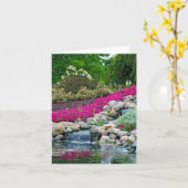 Watervallen in rotstuin kaart (Gele Bloem)