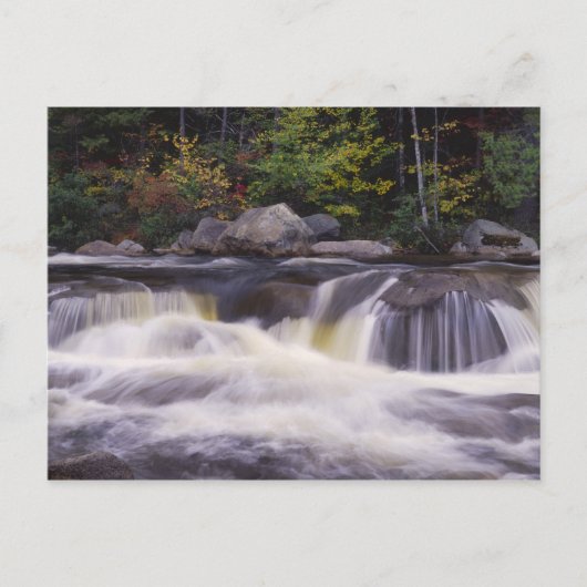 Watervallen, Kancamagus Highway, Wit Briefkaart (Voorkant)