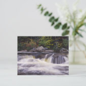 Watervallen, Kancamagus Highway, Wit Briefkaart (Staand voorkant)