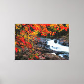 Watervallen Natuur Relax Home Kantoor Afbeelding 1 Canvas Afdruk (Voorkant)