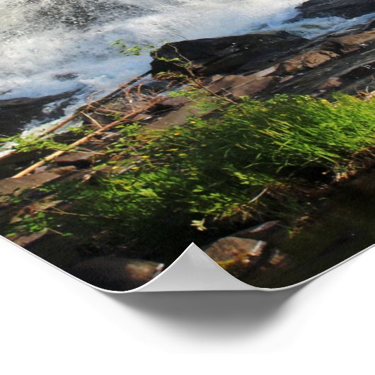 Watervallen Omringd door bomen Kleur 16x20 Poster (Hoek)