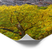 Watervallen, Zion National Park, Utah Poster (Hoek)