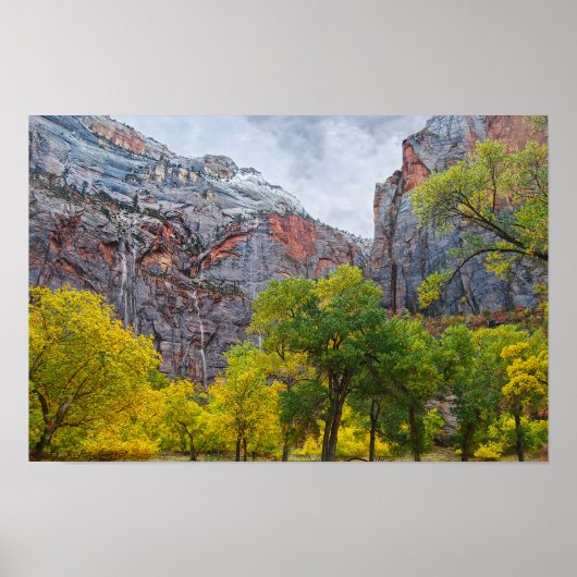 Watervallen, Zion National Park, Utah Poster (Voorkant)