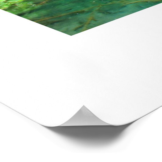 WatervalPoster Poster (Hoek)