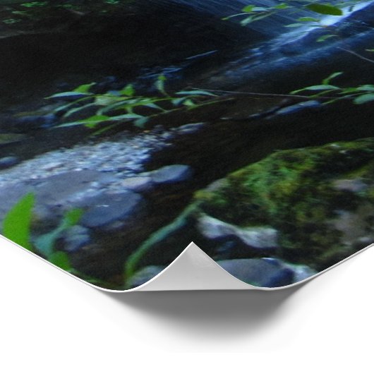 WatervalPoster Poster (Hoek)