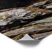 WatervalPoster Poster (Hoek)