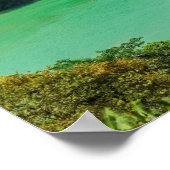 Watervalposter Poster (Hoek)