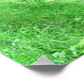 WatervalPosters Poster (Hoek)