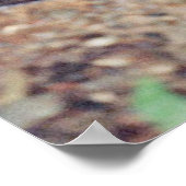 Watervalscripts Poster (Hoek)