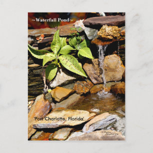 Watervalvijver Port Charlotte FL Briefkaart