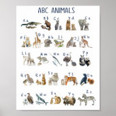 Waterverf Abc Dieren Poster (Voorkant)