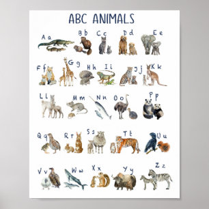 Waterverf Abc Dieren Poster