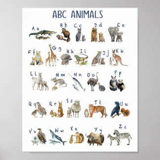 Waterverf Abc Dieren Poster