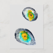waterverf abstracte oesterschelpen briefkaart (Voorkant)