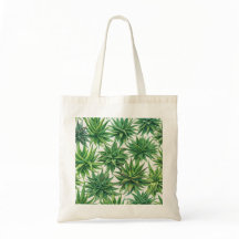 Waterverf Aloe Vera Succulent Botanisch Patroon