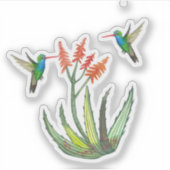 Waterverf Aloe Vera Succulent Hummingbird Blooms Sticker (Voorkant)