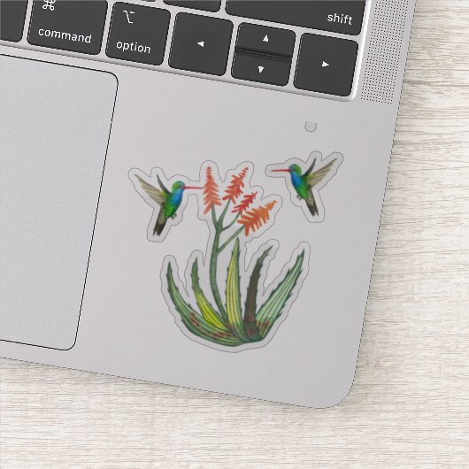 Waterverf Aloe Vera Succulent Hummingbird Blooms Sticker (Detail)