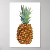Waterverf ananas poster (Voorkant)