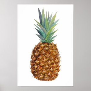 Waterverf ananas poster