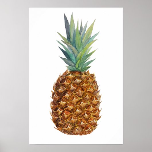 Waterverf ananas poster (Voorkant)