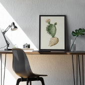 Waterverf Antiek Botanische Cactus Print Poster