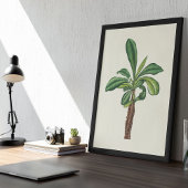 Waterverf Antiek Botanische Cactus Print Poster